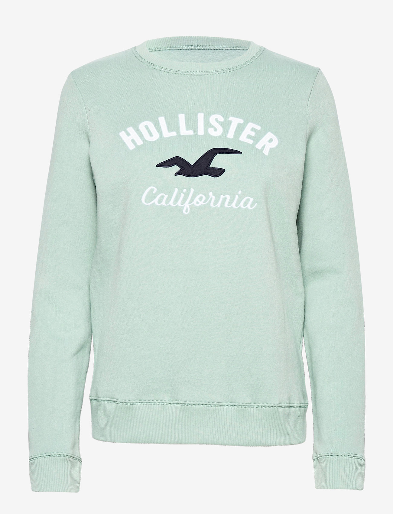 blue and white hollister hoodie