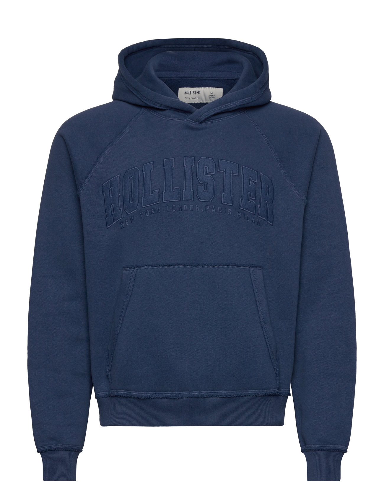 Hco. Guys Sweatshirts Blue Hollister 189997