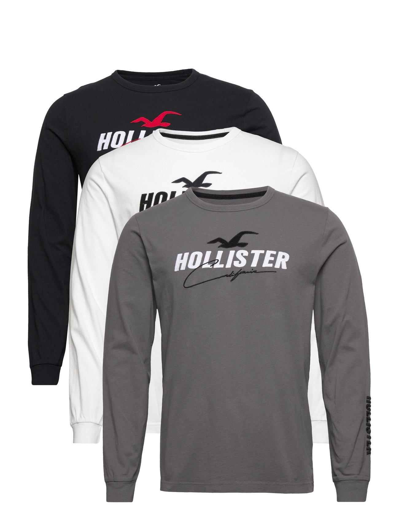 Hollister Hco. Guys Graphics - Long-sleeved t-shirts 