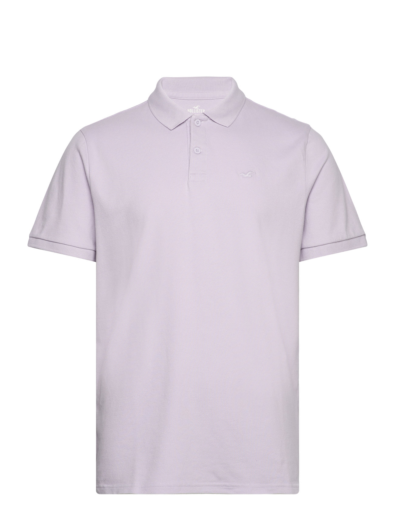 Hco. Guys Knits Purple Hollister