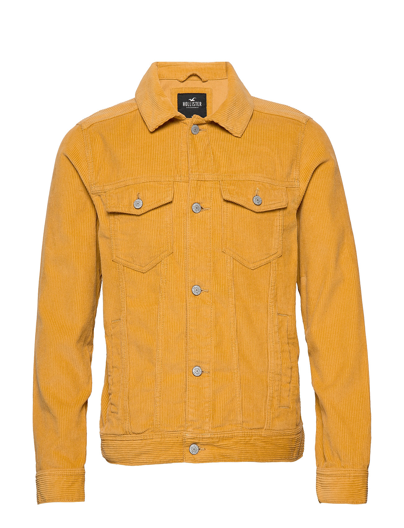 hollister yellow coat