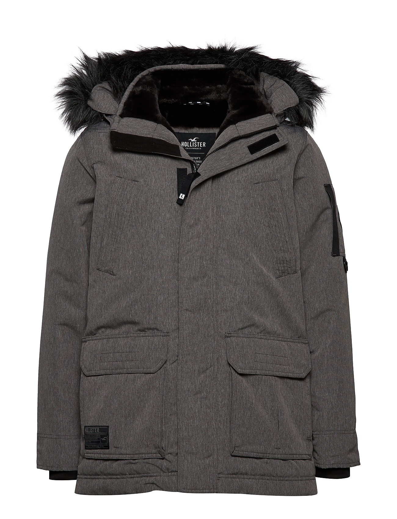 grey hollister coat