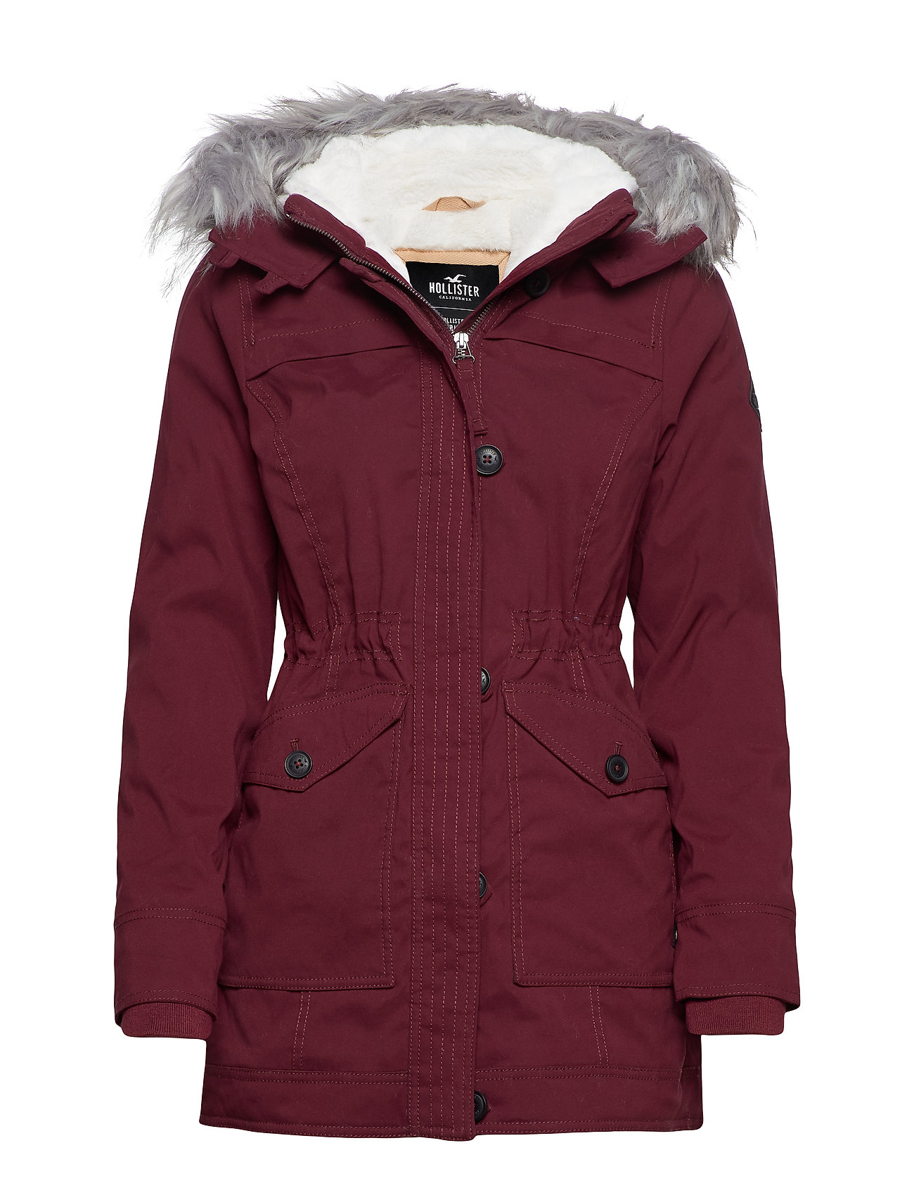 teddy jacket hollister