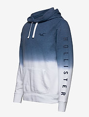 hollister ombre logo hoodie