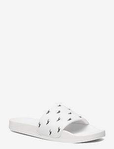 hollister shoes