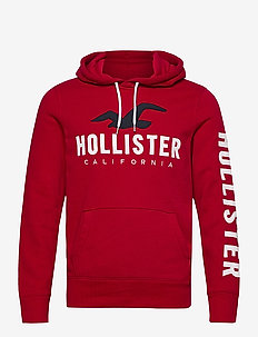 hollister hoodies cheap