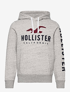 hollister hoodies boys