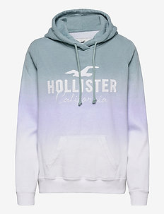 hollister hoodies