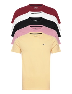 hollister t shirt basic