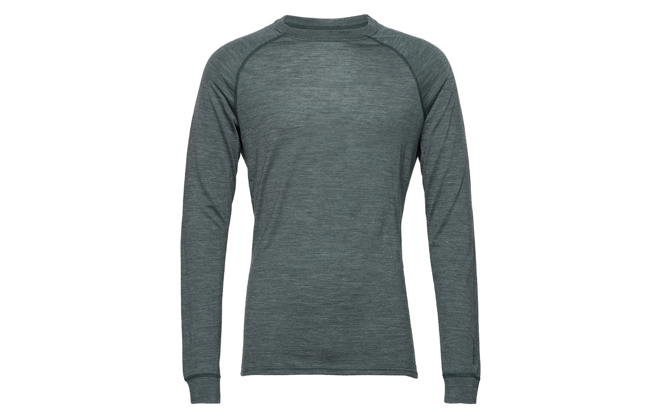 Houdini Grey Crew M's Activist Whale TzxTIwrq