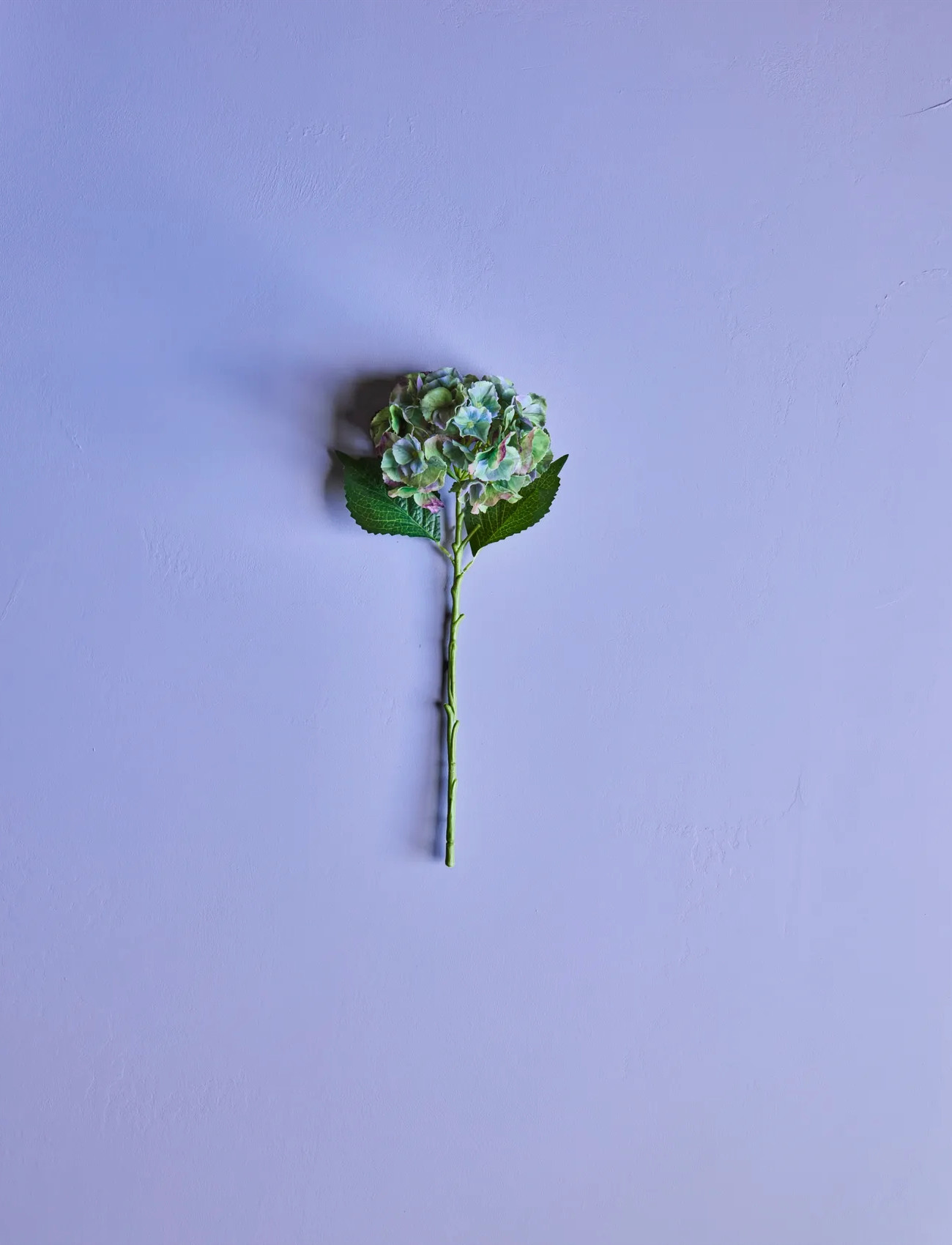 house doctor Artificial Flower, Hdhydrangea, Green, Blue, One Size, Green, Decoration > Dried & Fake Flowers, Unisex