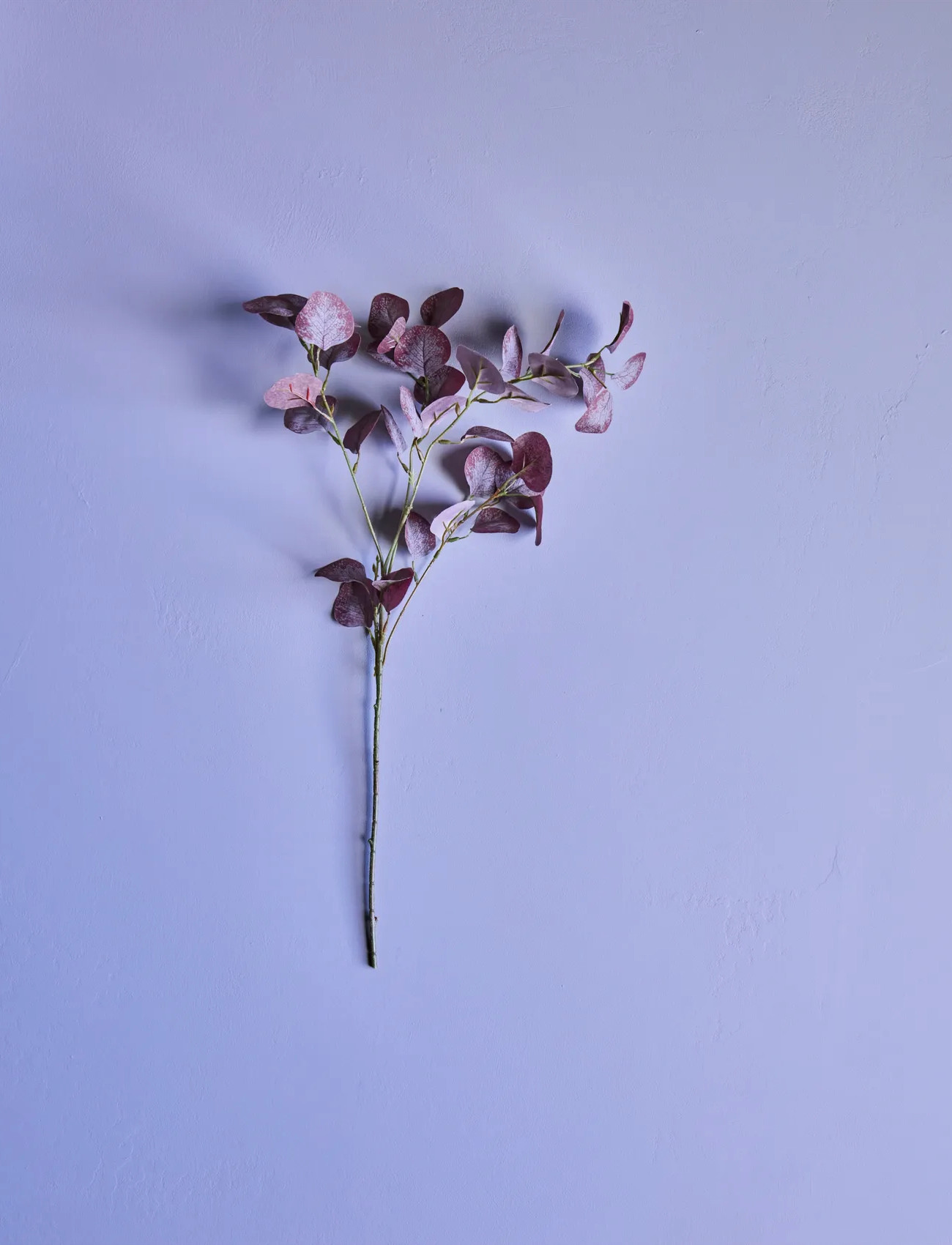 house doctor Artificial Branch, Hdeucalyptus, Burgundy, One Size, Pink, Decoration > Dried & Fake Flowers, Unisex