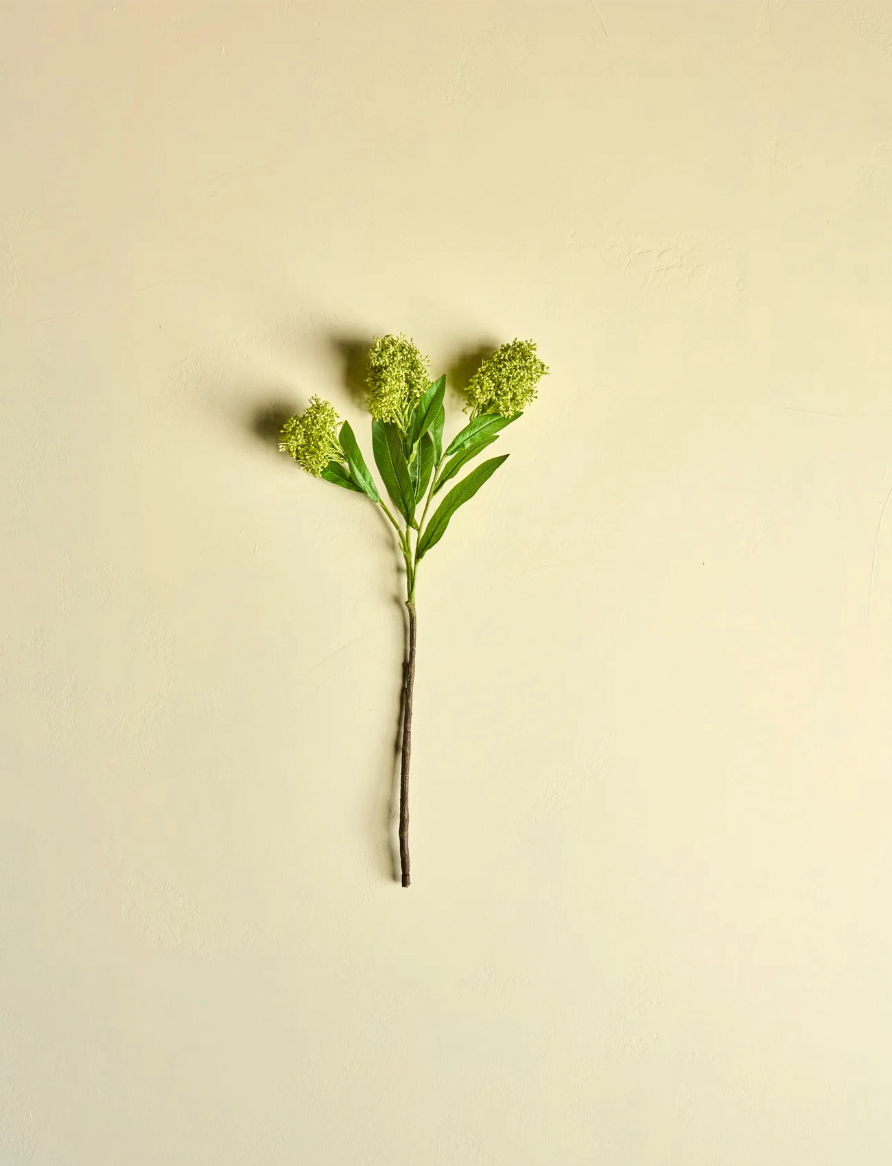 house doctor Artificial Flower, Hdskimmia, Green, One Size, Green, Decoration > Dried & Fake Flowers, Unisex
