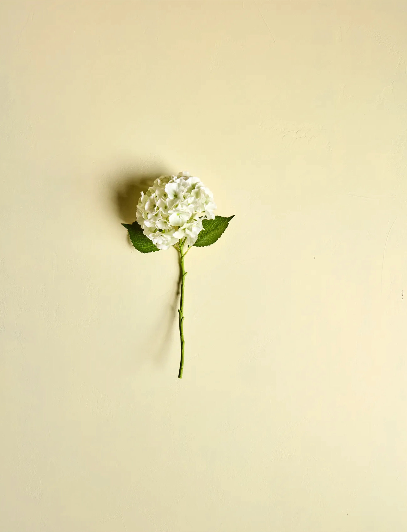 house doctor Artificial Flower, Hdhydrangea, White, One Size, White, Decoration > Dried & Fake Flowers, Unisex