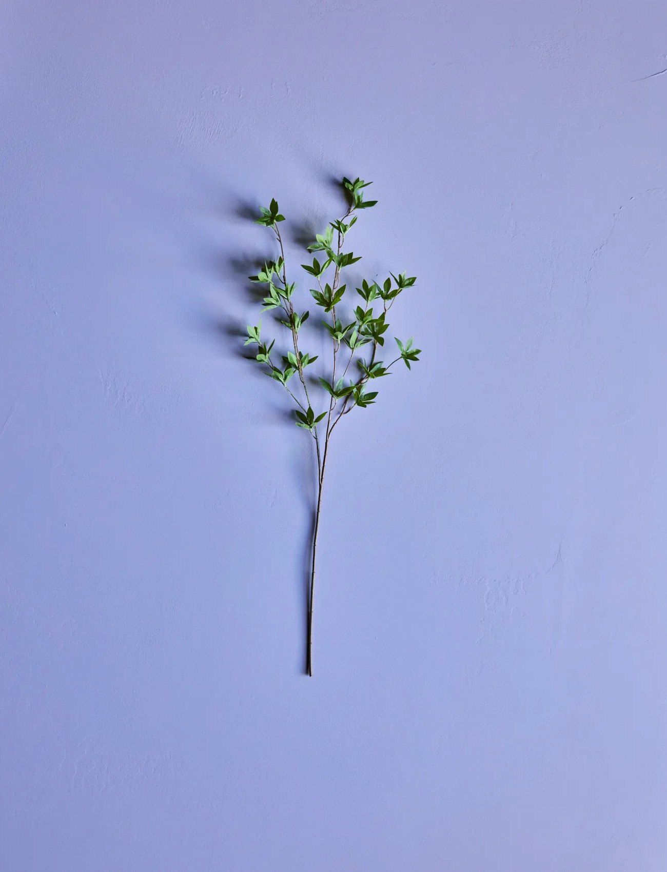 house doctor Artificial Branch, Hdjaponica, Green, One Size, Green, Decoration > Dried & Fake Flowers, Unisex