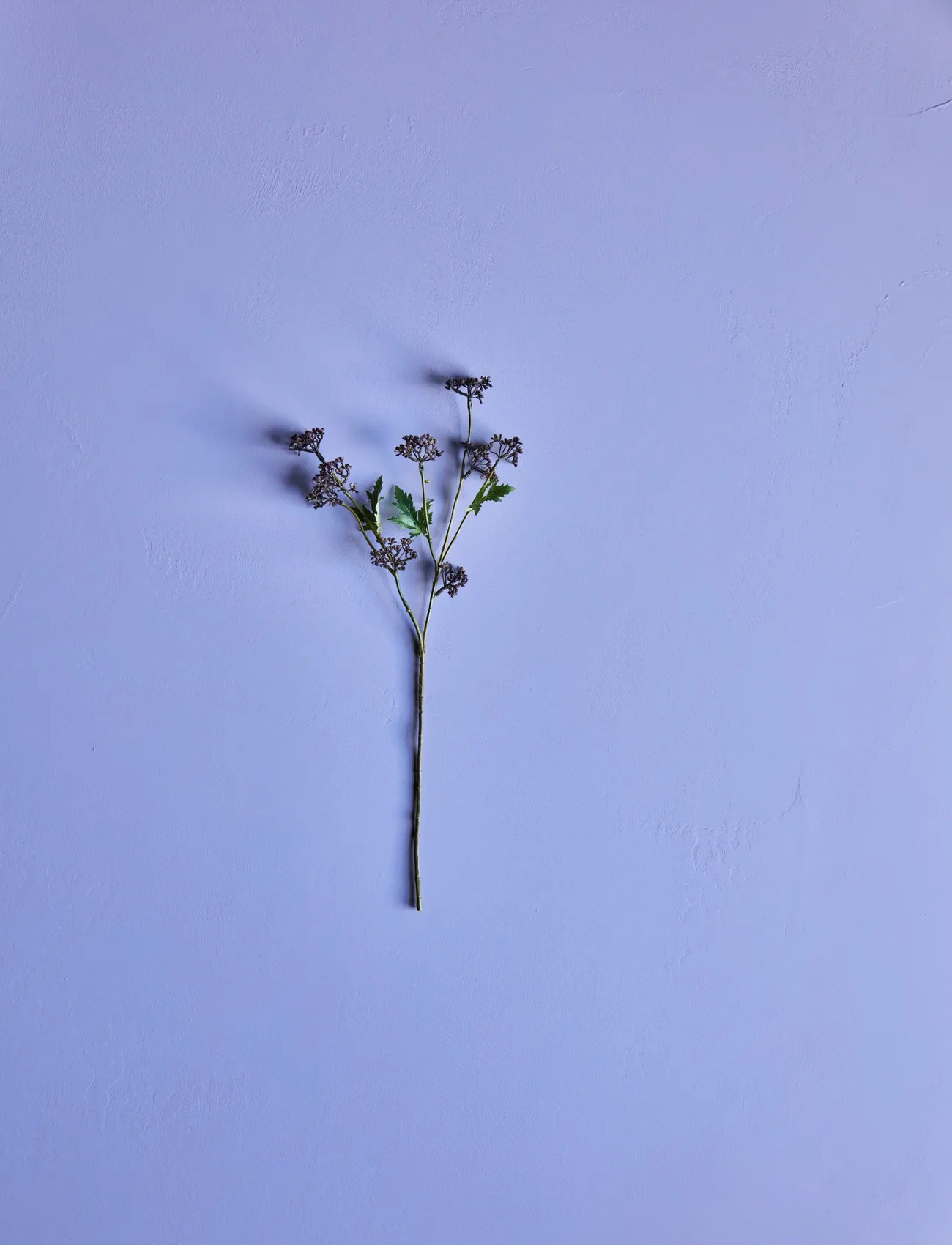 house doctor Artificial Branch, Hdmeadow, Burgundy, One Size, Burgundy, Decoration > Dried & Fake Flowers, Unisex