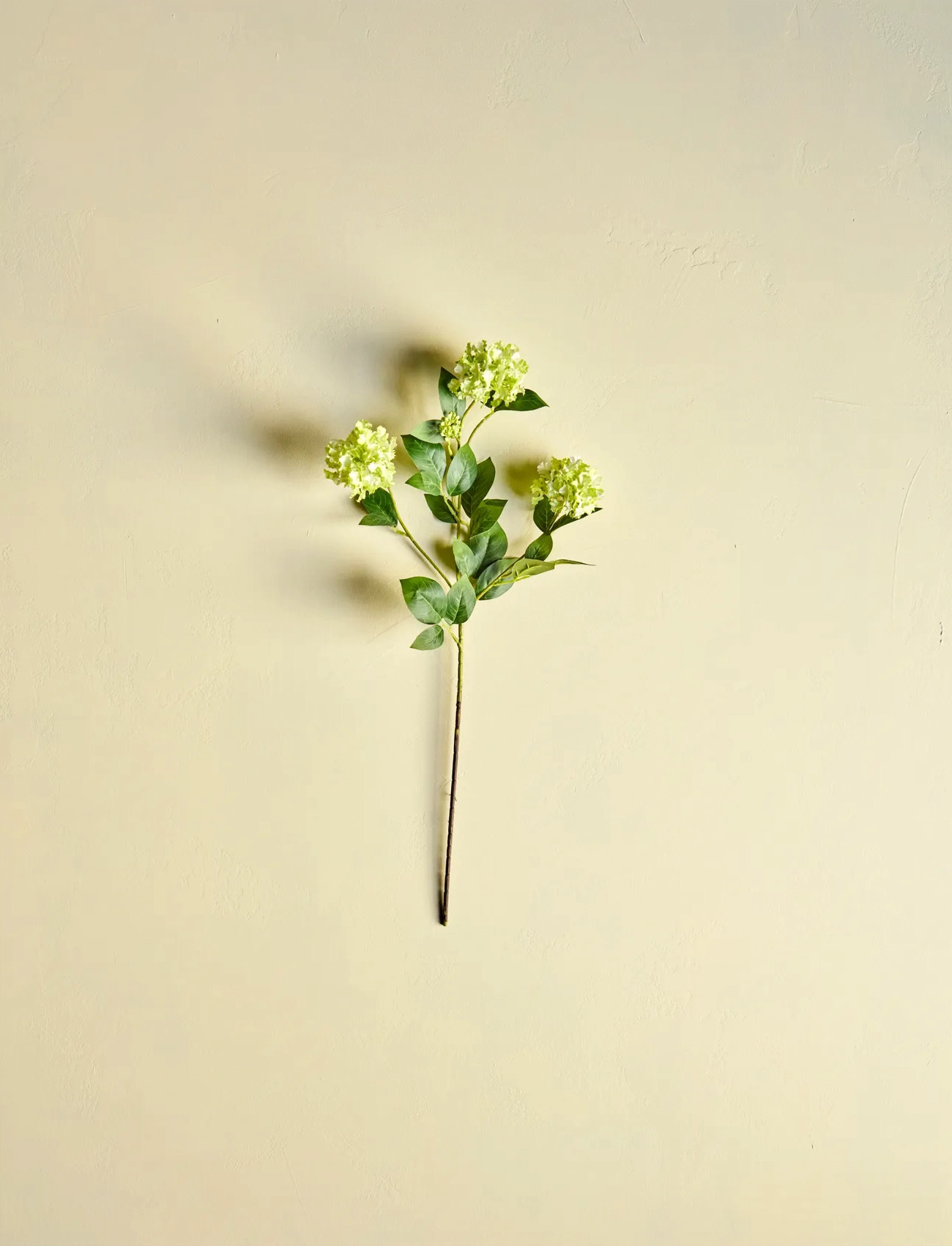 house doctor Artificial Flower, Hdviburnum, Green, One Size, Green, Decoration > Dried & Fake Flowers, Unisex