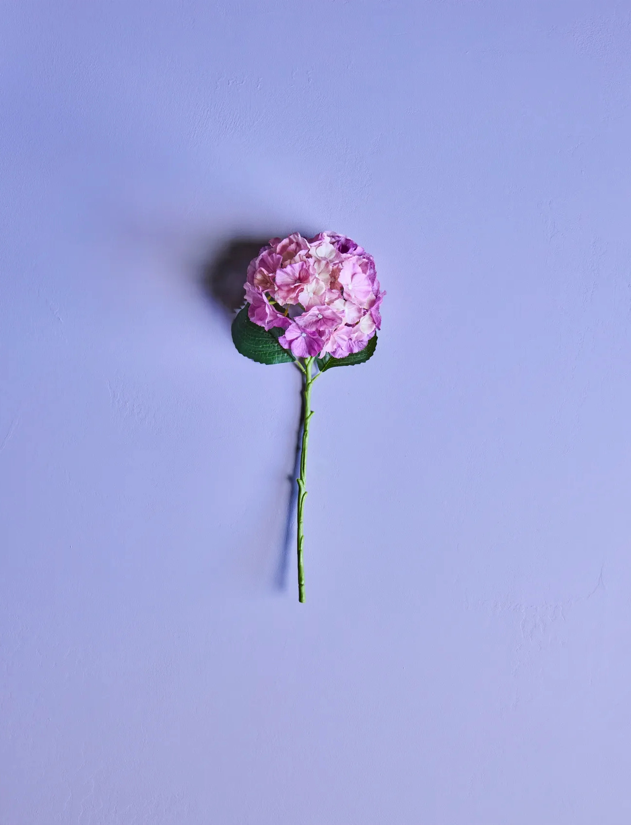 house doctor Artificial Flower, Hdhydrangea, Pink, One Size, Pink, Decoration > Dried & Fake Flowers, Unisex