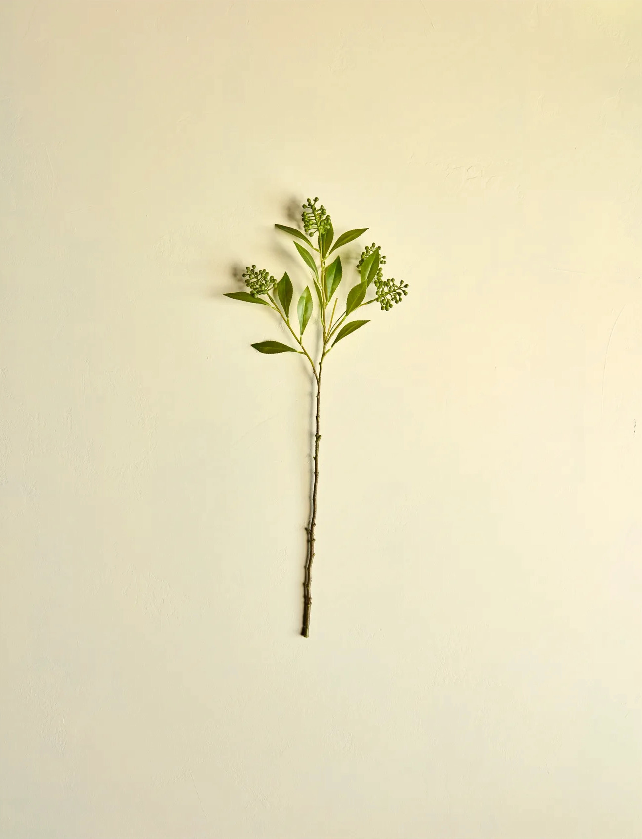 house doctor Artificial Branch, Hdligustrum, Green, One Size, Green, Decoration > Dried & Fake Flowers, Unisex