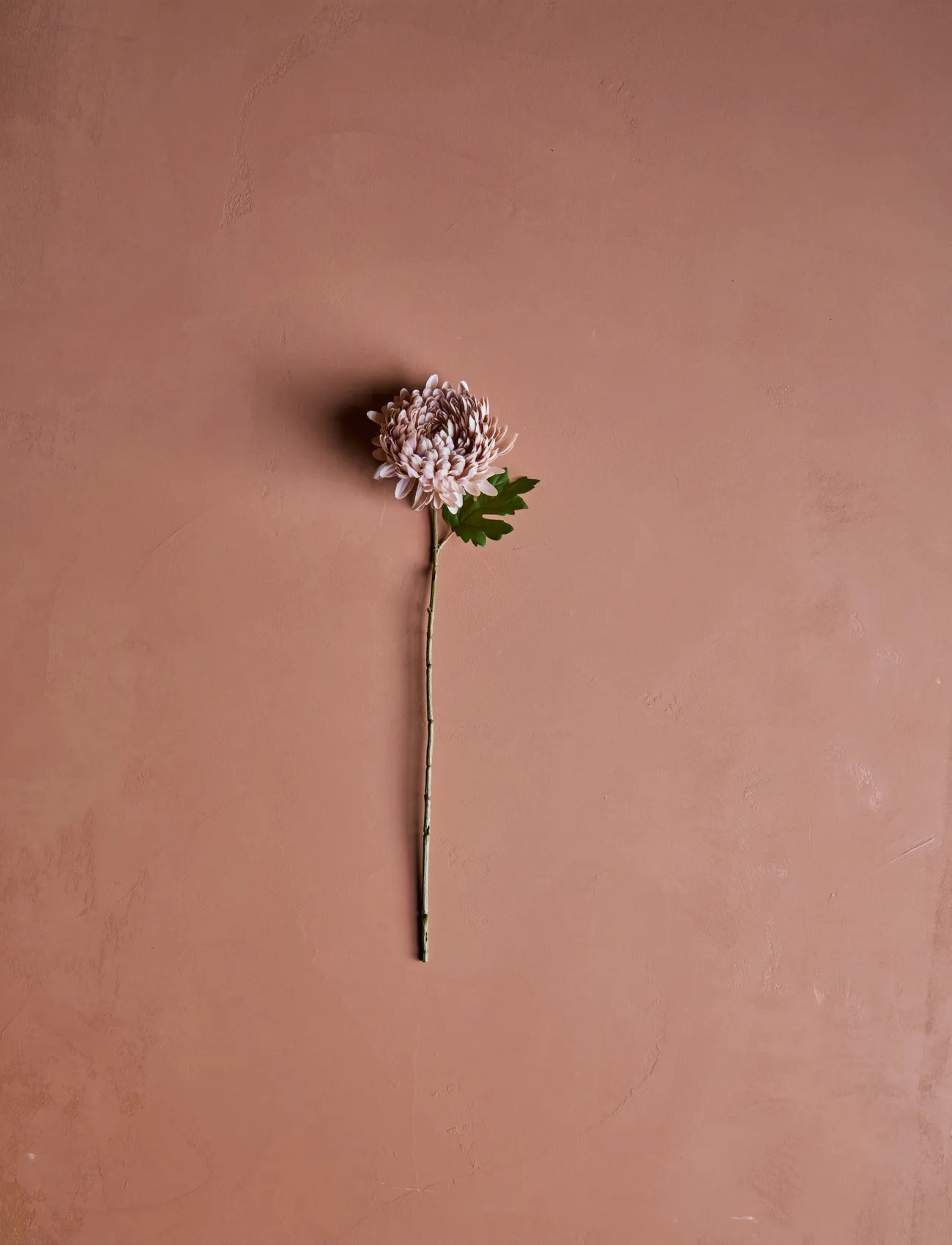 house doctor Artificial Flower, Hdchrysanthemum, Dusty Rose, One Size, Pink, Decoration > Dried & Fake Flowers, Unisex