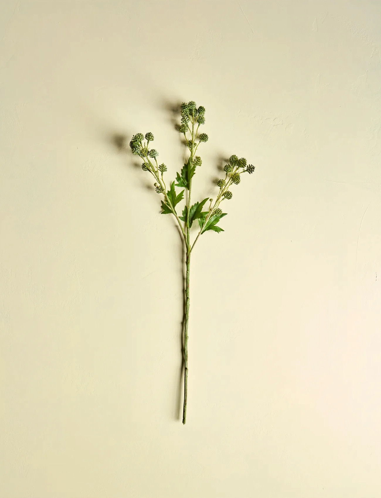 house doctor Artificial Branch, Hdsedum, Green, One Size, Green, Decoration > Dried & Fake Flowers, Unisex