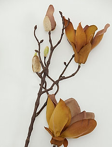 Mangnolia Flower - mākslīgie ziedi - brown