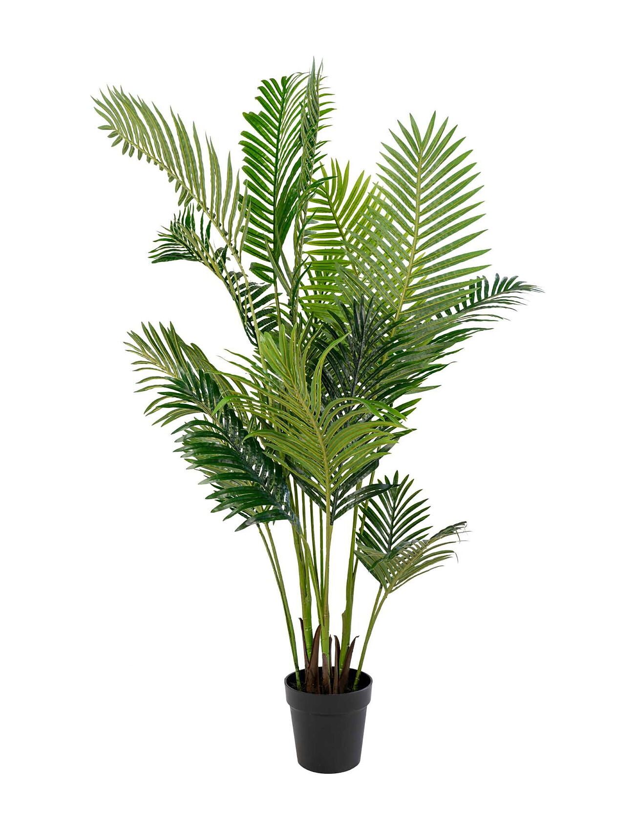 Maja - Artificial Palm, Green H:175 Cm Green House Nordic