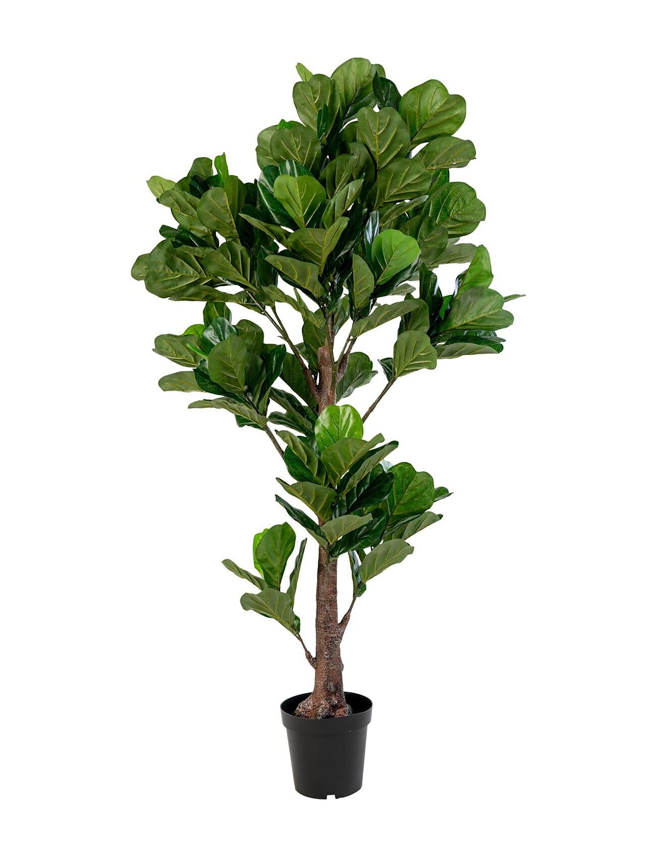 House Nordic Alma - Artificial Plant, Green H:190 Cm Grön