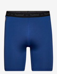 grænse kompliceret mock Hummel Hml First Performance Tight Shorts (True Blue), (2.399,20 kr) |  Large selection of outlet-styles | Booztlet.com