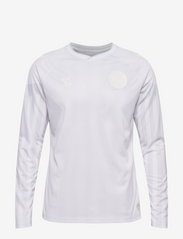 DBU 22 Landsholdstrøje L/S Away - WHITE