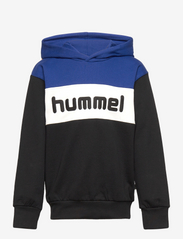 hmlMORTEN HOODIE - SODALITE BLUE