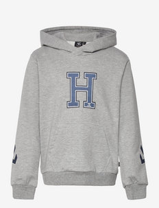 hmlGEOGRAPHY HOODIE - sportiska stila džemperi un džemperi ar kapuci - light grey melange