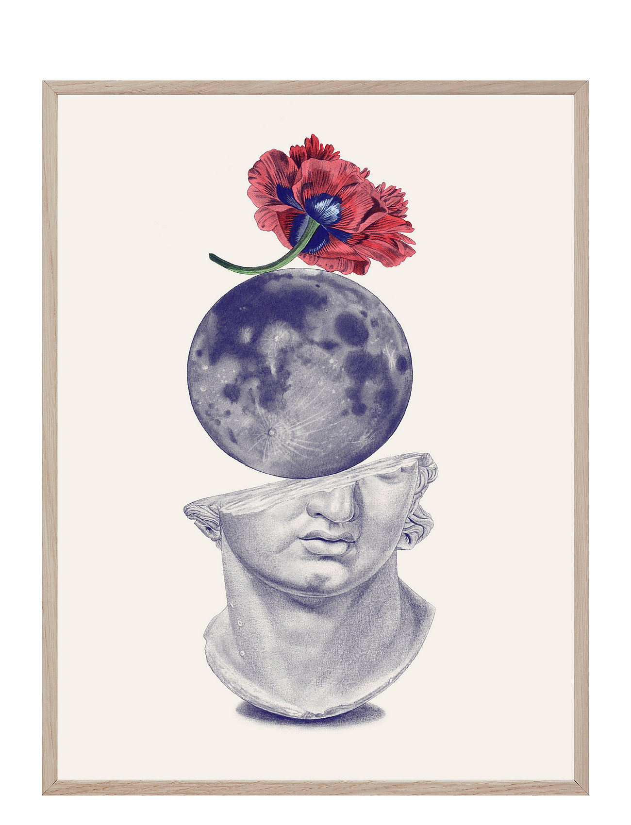 Red Poppy, Moon And Plaster Patterned If Walls Could Talk