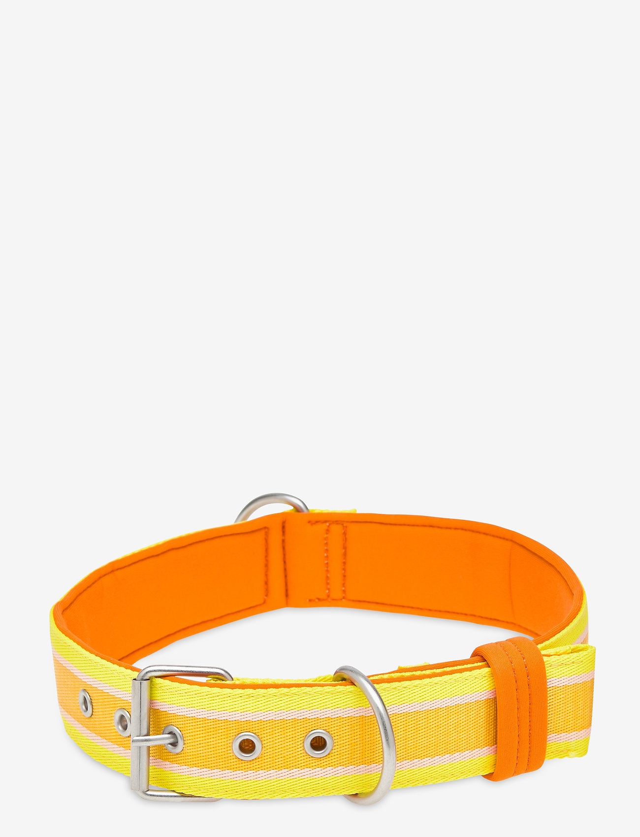 sunbeam bark collar