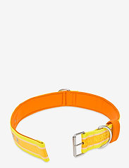 Ilse Jacobsen - Dog Collar - hundehalsbänder - sunbeam - 1