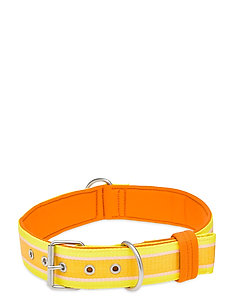 sunbeam dog collar