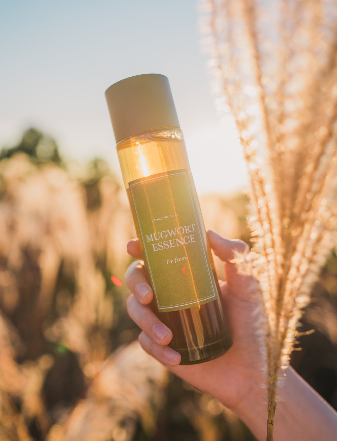 I'm From I'm From Mugwort Essence 160ml, 160 ml, Nude, Rensemidler > Tonere, Dame