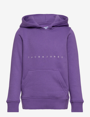 JORCOPENHAGEN SWEAT HOOD  JNR - DEEP LAVENDER
