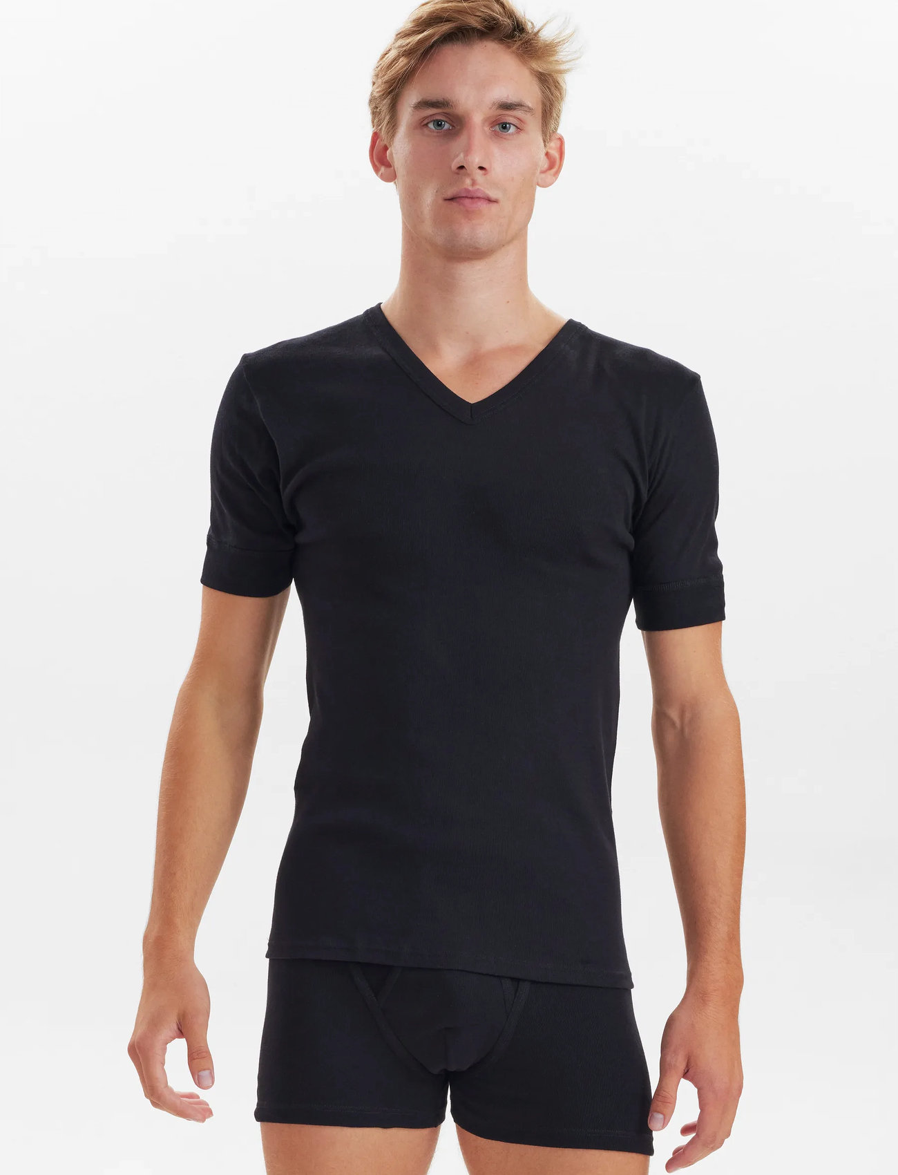 JBS Jbs T-Shirt V-Neck Original, L, Black, T-Shirts > Kortærmede, Herre