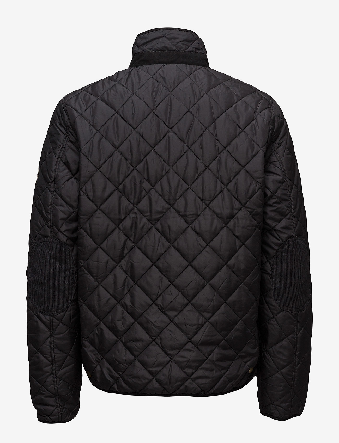 knowledge cotton pet light jacket reversible