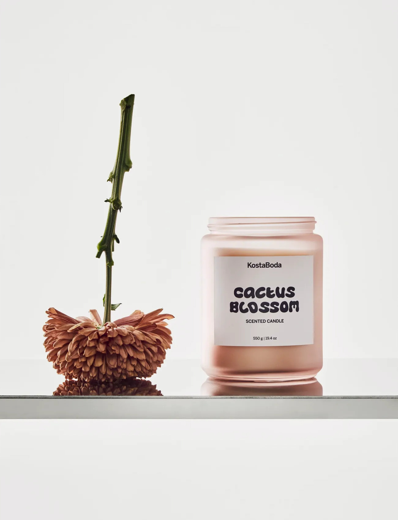 Kosta Boda Mind Doftljus 550Gr Cactus Blossom, 10.2, Silver, Hjem > Duftlys, Dame