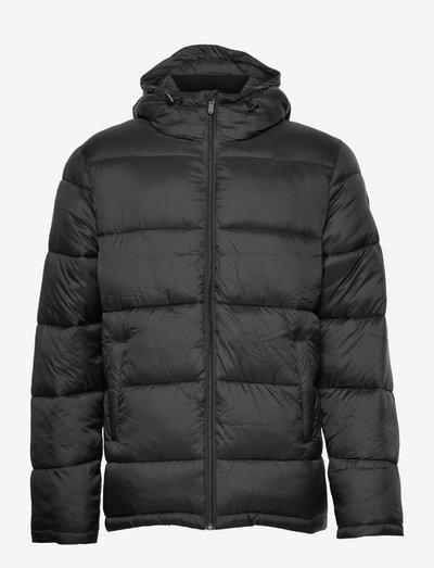 Puffer jacket - winter jackets - black