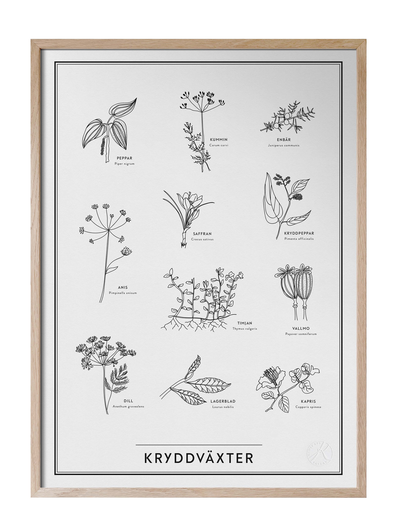 KUNSKAPSTAVLAN Kryddväxter Patterned - 30X40 - Unisex