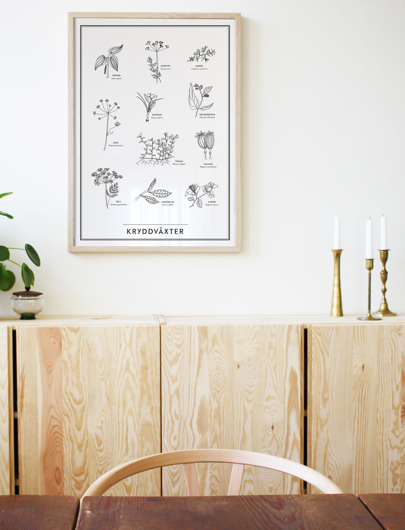 Kunskapstavlan Kryddväxter, 30X40, Multi/patterned, Plakater > Natur, Unisex