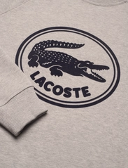 Lacoste - SWEATSHIRTS - sweatshirts - heather wall chine - 3