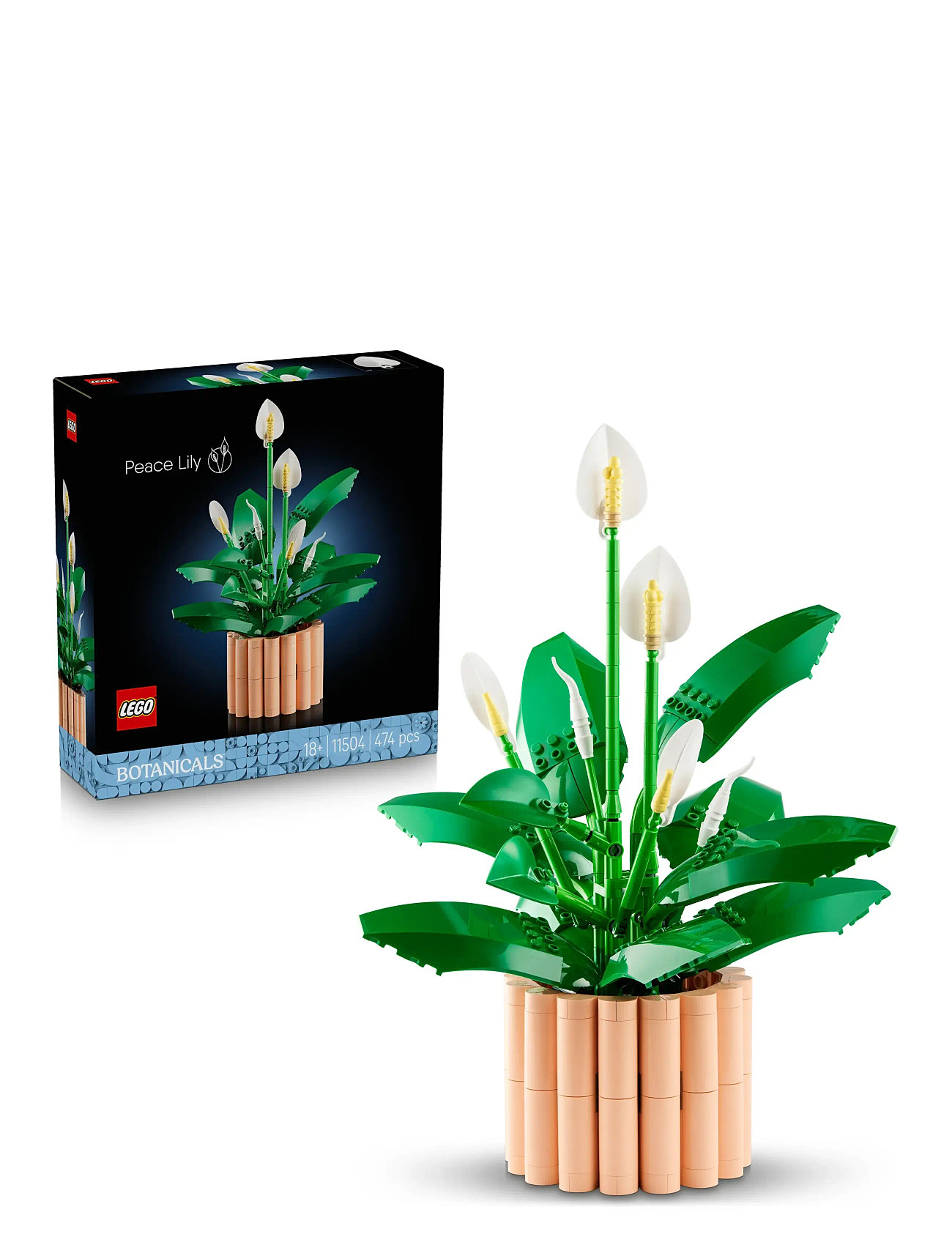 LEGO Botanicals 11504, One Size, Green, Lego Legetøj > Lego Botanical Collection, Børn