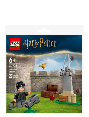 Quidditch™-lektion