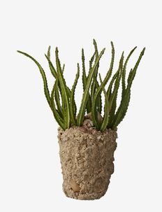 Flora cactus - mākslīgie ziedi - green