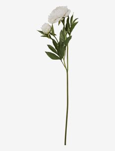Flora peony - mākslīgie ziedi - off white