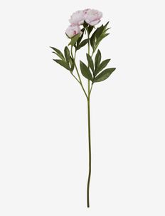 Flora peony - mākslīgie ziedi - dusty rose